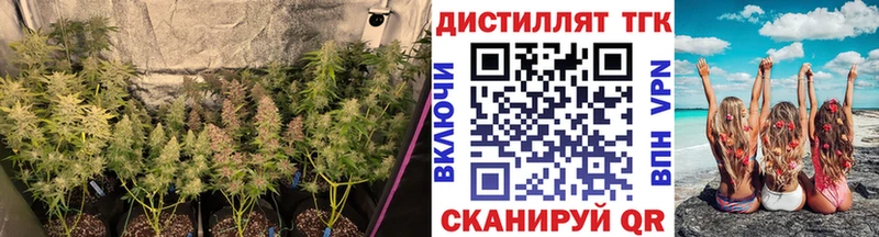 ТГК жижа Устюжна